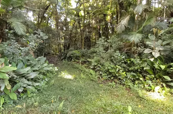Sítio em São Pedro De Alcântara/SC