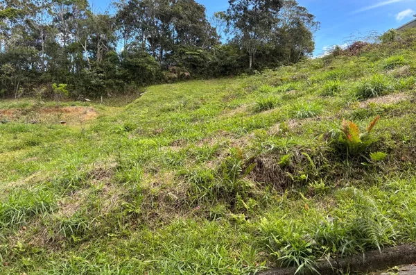 Terreno para venda,  Boa Parada, São Pedro De Alcântara