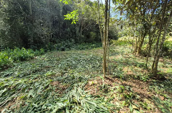 TERRENO URBANO À VENDA – CUBATÃO, SÃO PEDRO DE ALCÂNTARA - Foto 10