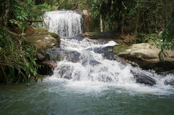 Sítio para venda em São Pedro De Alcântara/SC