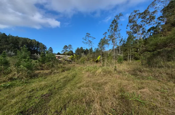 SÍTIO COM 12 HECTARES, MUITA ÁGUA E NATUREZA EM SANTA FILOMENA – SÃO PEDRO DE ALCÂNTARA - Foto 27