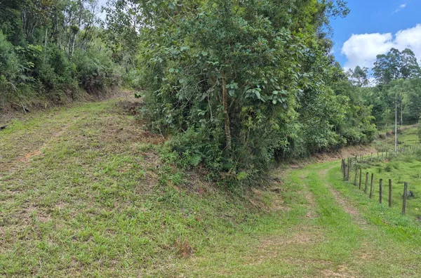 Sítio para venda em São Pedro de Alcântara/SC