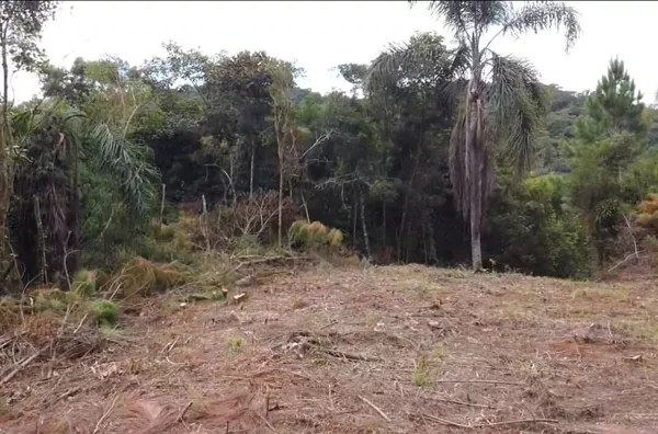 Sítio para venda em São Pedro de Alcântara/SC