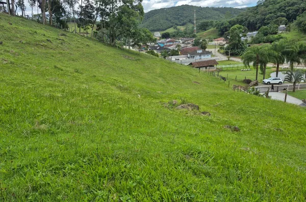 Terreno para venda em São Pedro De Alcântara/SC