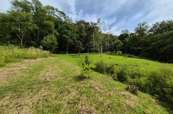 Sítio em São Pedro De Alcântara