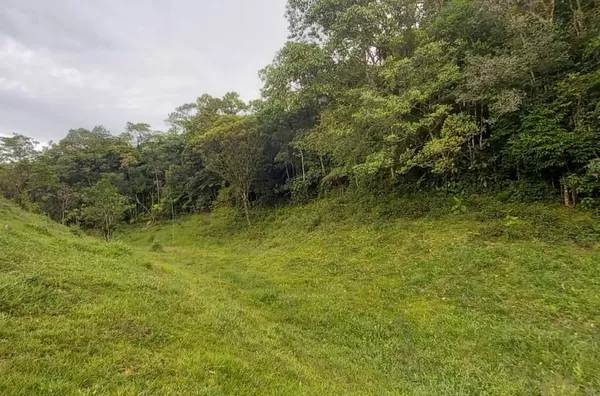 Sítio para venda em São Pedro De Alcântara/SC