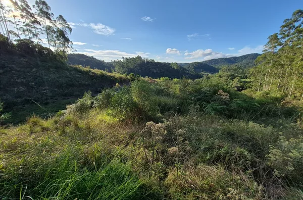 Sítio para venda em São Pedro De Alcântara/SC