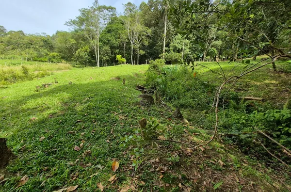 Sítio em São Pedro De Alcântara