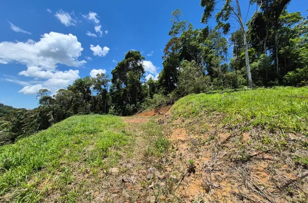 Sítio para venda em São Pedro De Alcântara/SC