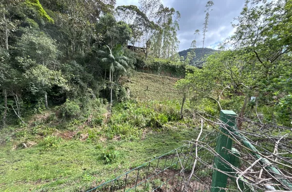 SÍTIO À VENDA – COLÔNIA SANTANA, SÃO JOSÉ/SC - Foto 7