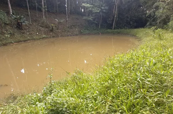 Sítio em São Pedro De Alcântara/SC - Foto 6