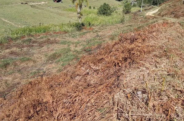 Sítio em São Pedro de Alcântara/SC