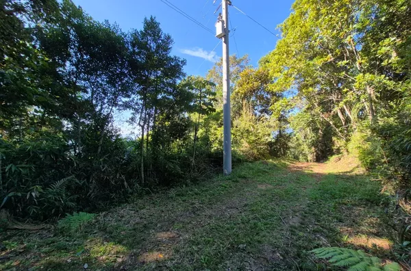 Sítio para venda em São Pedro De Alcântara/SC