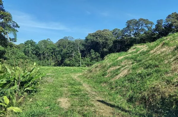 Sítio para venda em São Pedro De Alcântara/SC