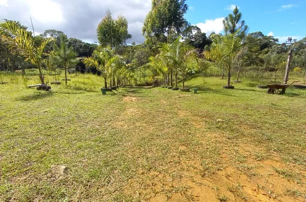 Sítio em São Pedro De Alcântara/SC - Foto 13