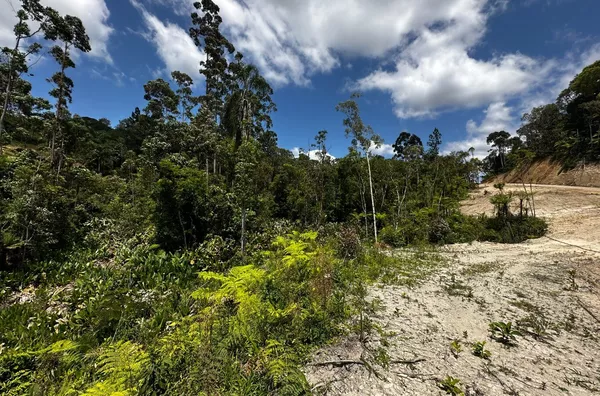 Sítio para venda,  Invernada, São Pedro De Alcântara