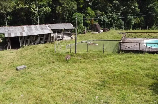 Sítio para venda em Santo Amaro Da Imperatriz/SC