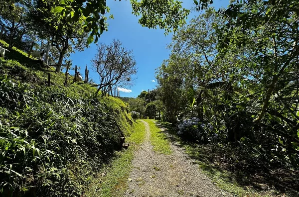 Chácara para venda em São Pedro De Alcântara/SC