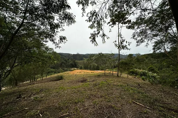 Sítio para venda em São Pedro De Alcântara/SC