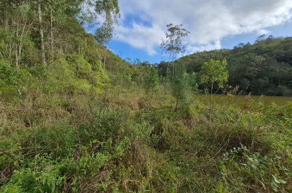 SÍTIO COM 12 HECTARES, MUITA ÁGUA E NATUREZA EM SANTA FILOMENA – SÃO PEDRO DE ALCÂNTARA - Foto 23