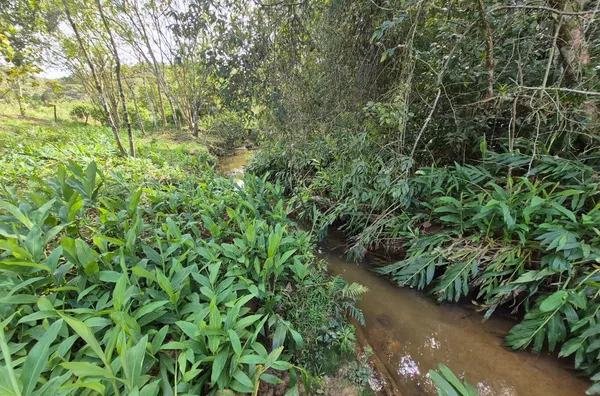 TERRENO URBANO À VENDA – CUBATÃO, SÃO PEDRO DE ALCÂNTARA