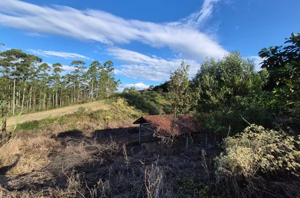 Sítio para venda em São Pedro De Alcântara/SC