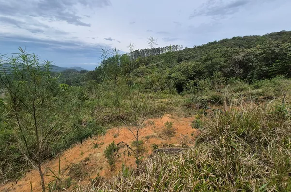 Sítio em São Pedro De Alcântara