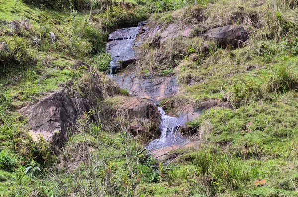 Sítio para venda em Angelina/SC