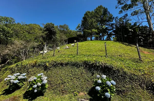 Chácara para venda em São Pedro De Alcântara/SC