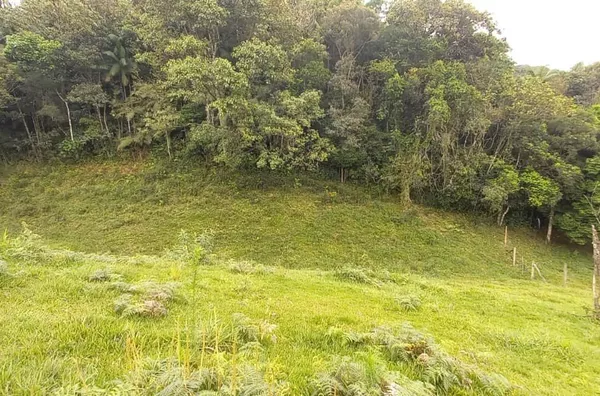 Sítio para venda em São Pedro De Alcântara/SC