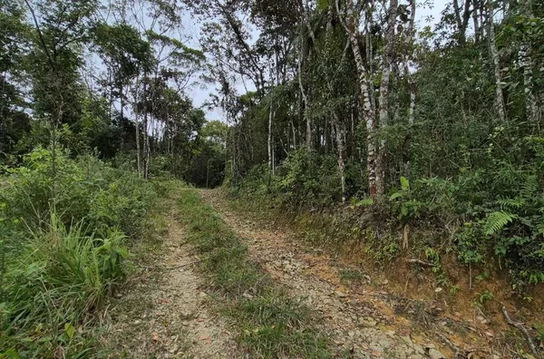 Sítio em São Pedro De Alcântara