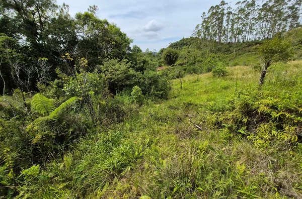 Sítio em São Pedro De Alcântara