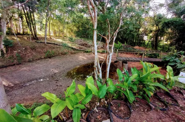 Sítio para venda, 3 quarto(s),  - Selecione - Bairro, Gravatai