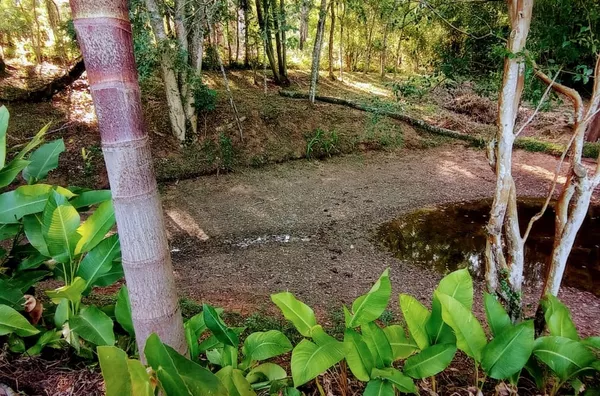 Sítio para venda, 3 quarto(s),  - Selecione - Bairro, Gravatai