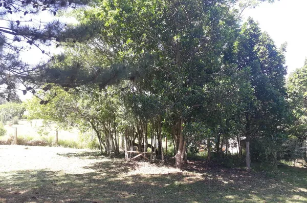 Vende-se Sítio Barbada - R$ 180.000  Ótima oportunidade! Sítio com excelente localização e infraestrutura, ideal para quem busca tranquilidade e contato com a natureza.   Características: - Valor: R$ 180.000 - Área ampla e bem cuidada - Localização estrat