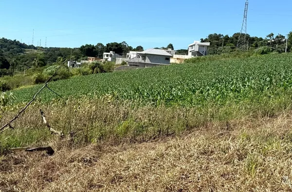02 Terrenos para venda,  localizados no bairro Vila Isabel em Pato Branco-PR