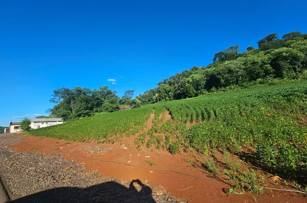 Chácara para venda em São Caetano em Pato Branco