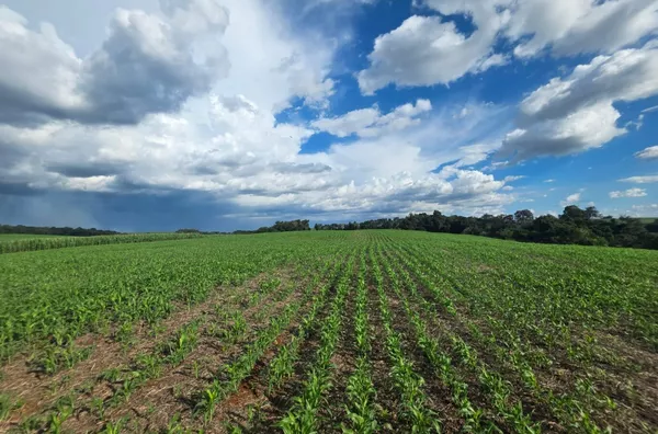 ÁREA DE TERRA À VENDA – LINHA BOM RETIRO