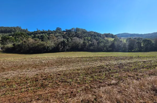 Chácara para venda - 9 KM de Pato Branco 