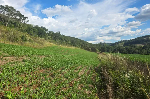 ÁREA DE TERRA À VENDA – LINHA BOM RETIRO