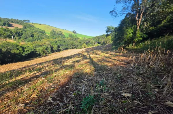 Chácara para venda Linha Cachoeirinha 
