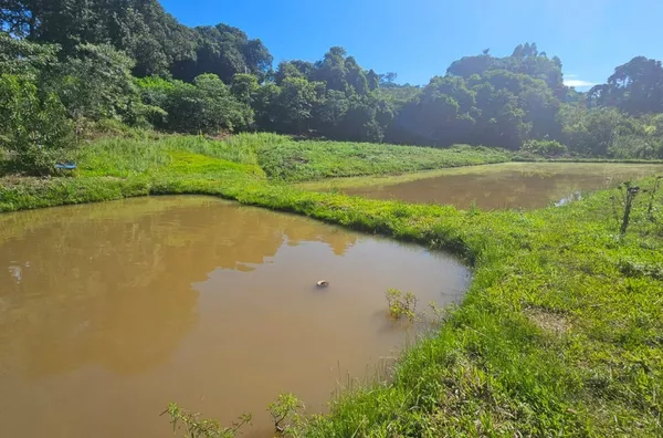 Chácara para venda 1 km do Parque do Som em Pato Branco