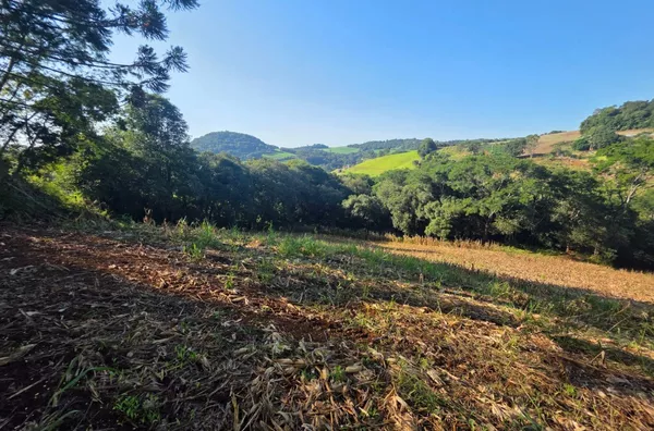 Chácara para venda Linha Cachoeirinha 