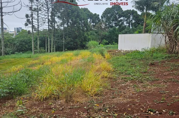 Terreno para venda no bairro Cadorin em Pato Branco