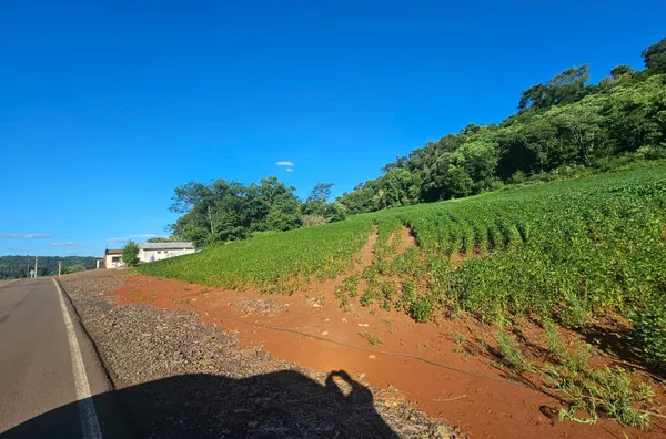 Chácara para venda em São Caetano em Pato Branco