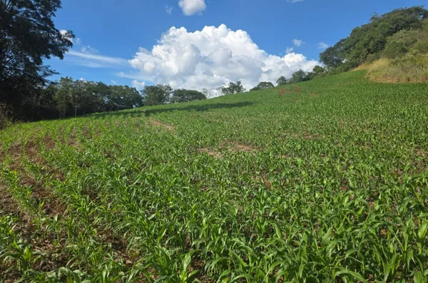 ÁREA DE TERRA À VENDA – LINHA BOM RETIRO
