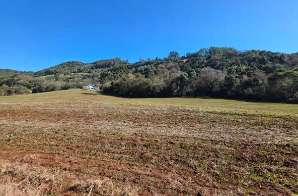 Chácara para venda - 9 KM de Pato Branco 