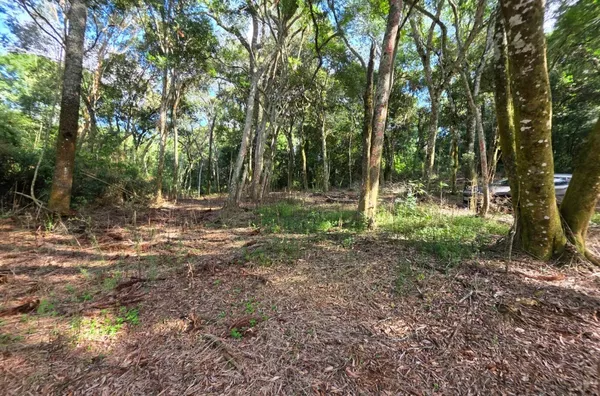 Chácara para venda comunidade de São João Batista 