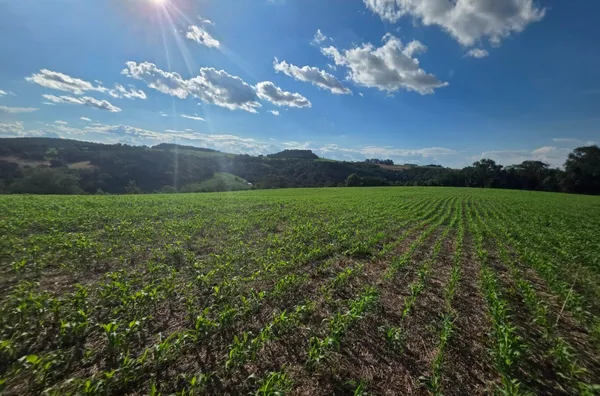 ÁREA DE TERRA À VENDA – LINHA BOM RETIRO