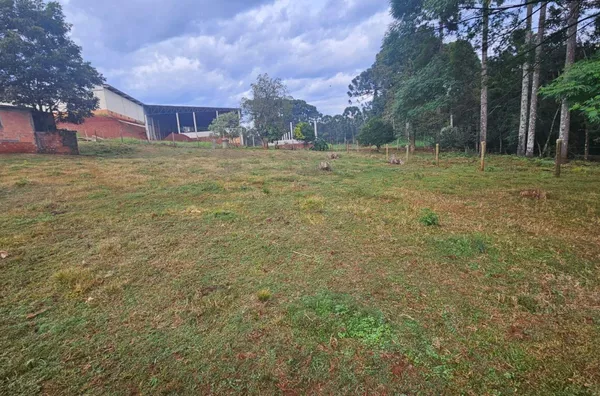 Terreno comercial para venda em Pato Branco
